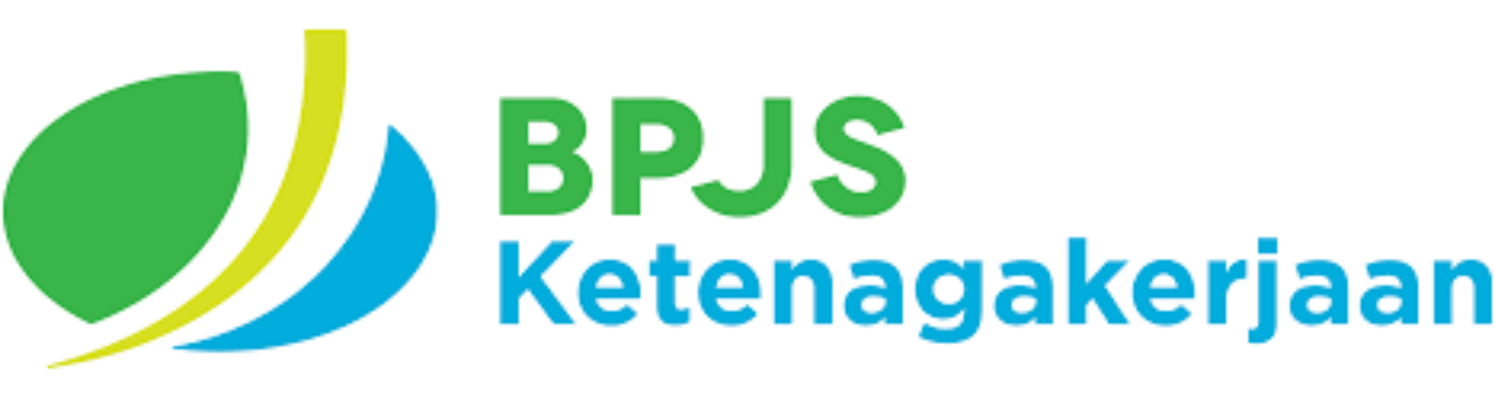 BPJS 1