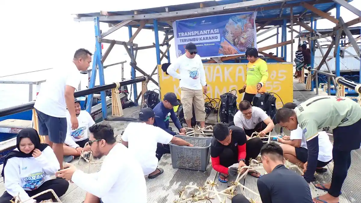 PT ISMA Lanjutkan Transplantasi Terumbu Karang Tahap II dan Monitoring Tahap I di Pulau Samalona